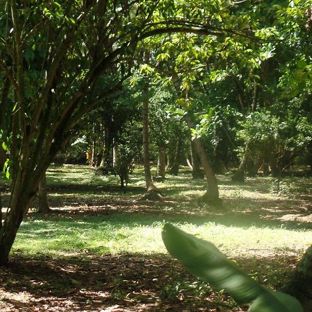 Hotel Hosteria Real Santa Fe de Antioquia Zewnętrze zdjęcie