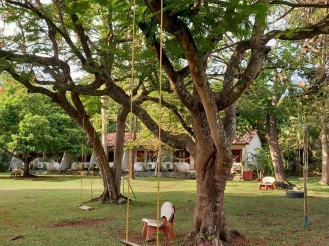 Hotel Hosteria Real Santa Fe de Antioquia Zewnętrze zdjęcie