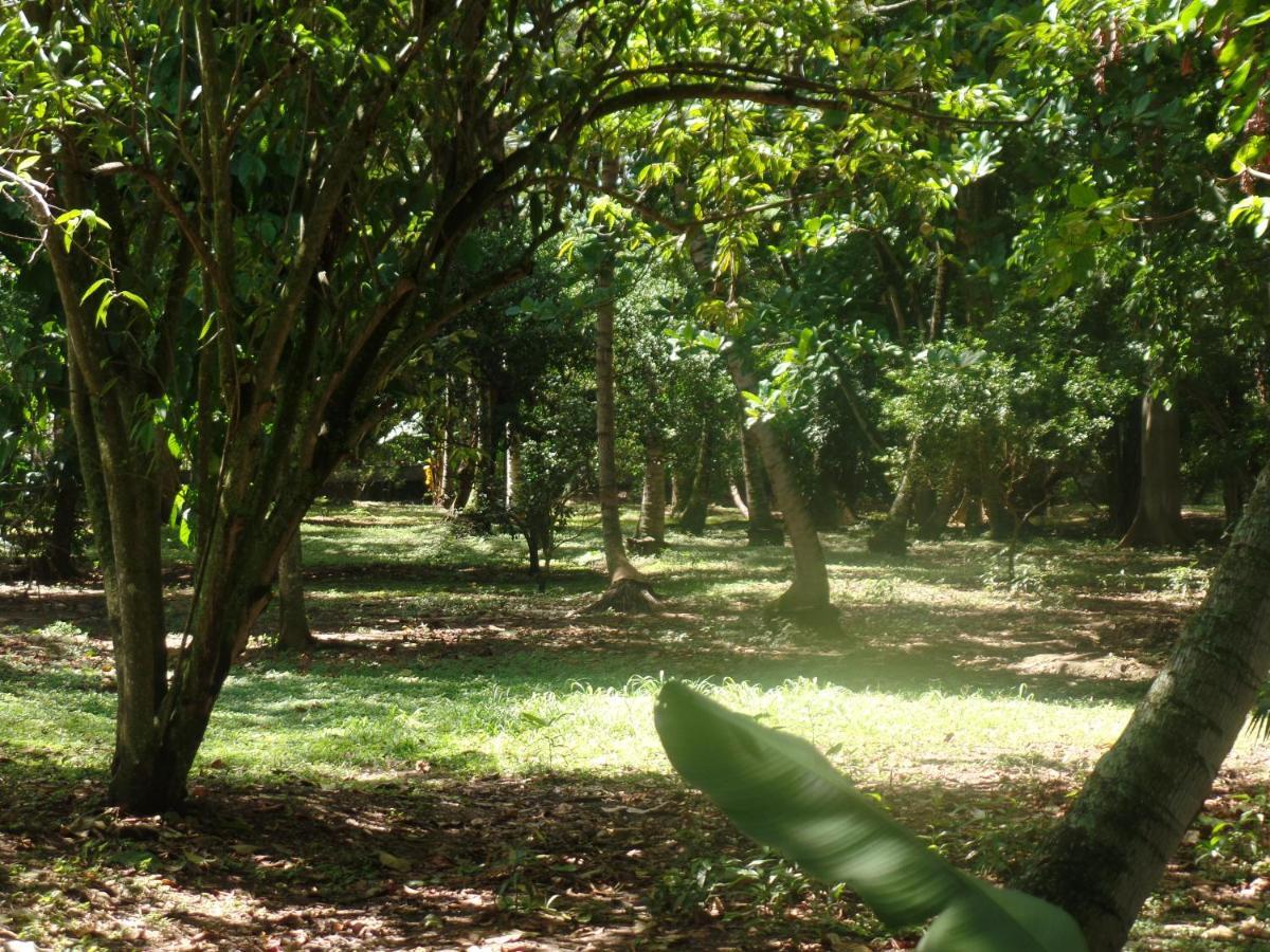 Hotel Hosteria Real Santa Fe de Antioquia Zewnętrze zdjęcie